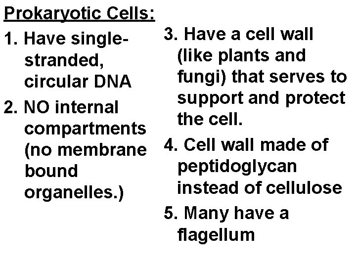 Prokaryotic Cells: 3. Have a cell wall 1. Have single(like plants and stranded, fungi)
