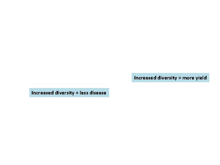 Increased diversity = more yield Increased diversity = less disease Increased diversity = more yield Increased diversity = less disease