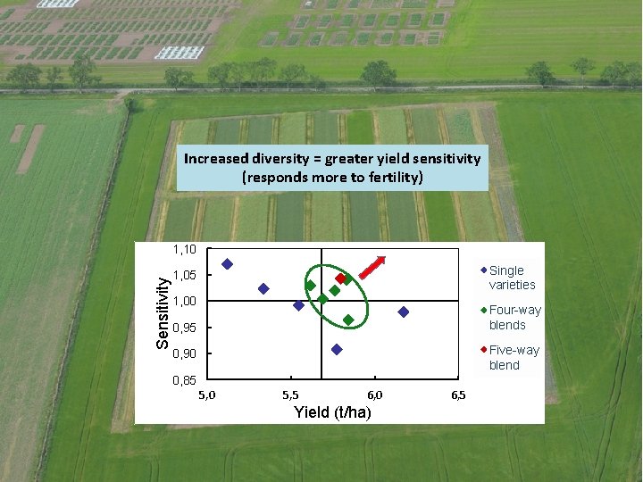 Increased diversity = greater yield sensitivity (responds more to fertility) Sensitivity 1, 10 Single Increased diversity = greater yield sensitivity (responds more to fertility) Sensitivity 1, 10 Single