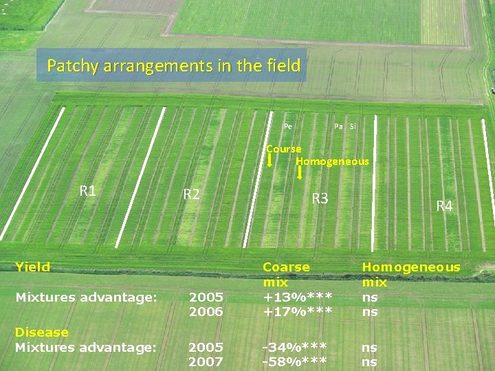 Patchy arrangements in the field Pe Pa Si Course Homogeneous R 1 R 2 Patchy arrangements in the field Pe Pa Si Course Homogeneous R 1 R 2