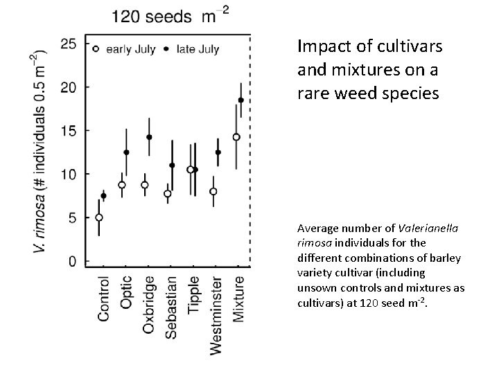Impact of cultivars and mixtures on a rare weed species Average number of Valerianella Impact of cultivars and mixtures on a rare weed species Average number of Valerianella