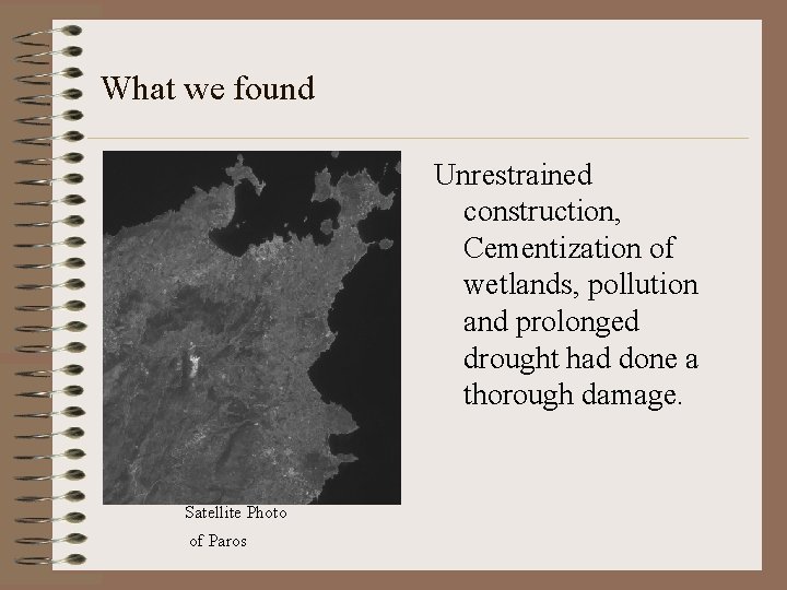 What we found Unrestrained construction, Cementization of wetlands, pollution and prolonged drought had done