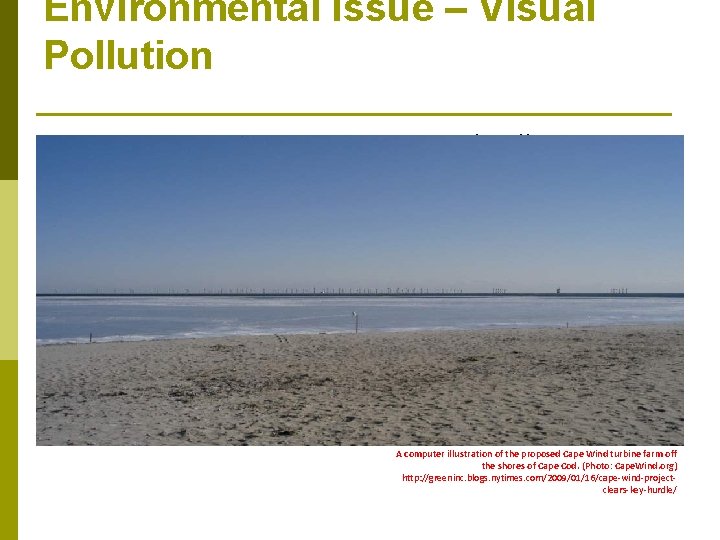 Environmental Issue – Visual Pollution p p Visual pollution Bird and bat migration A