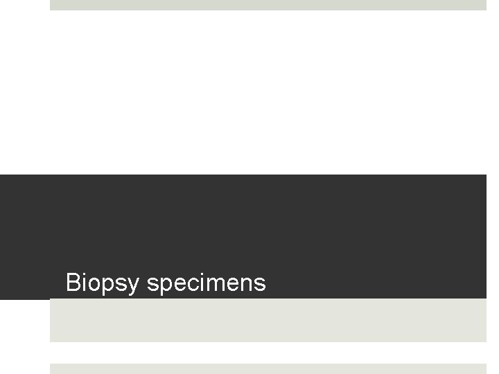 Biopsy specimens 