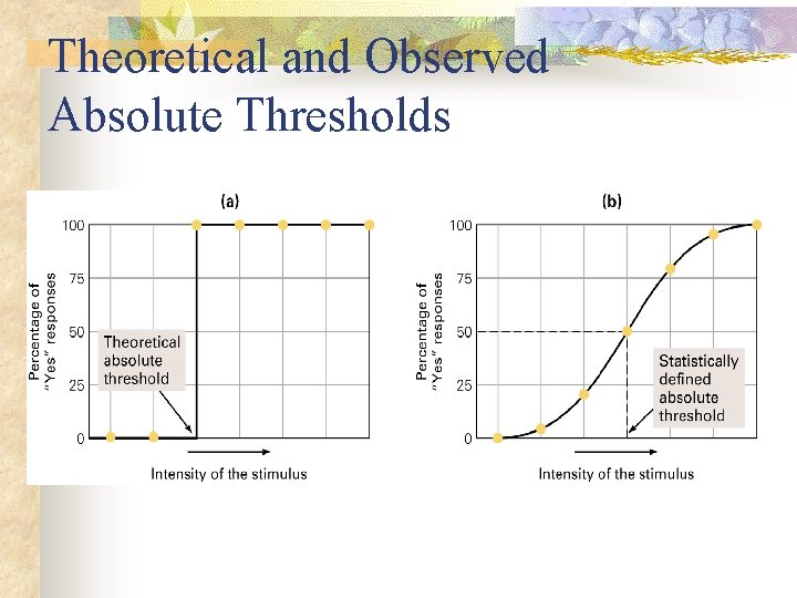 Theoretical and Observed Absolute Thresholds 