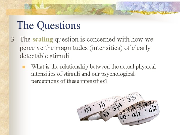 The Questions 3. The scaling question is concerned with how we perceive the magnitudes