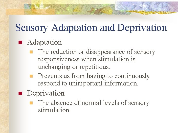 Sensory Adaptation and Deprivation n Adaptation n The reduction or disappearance of sensory responsiveness