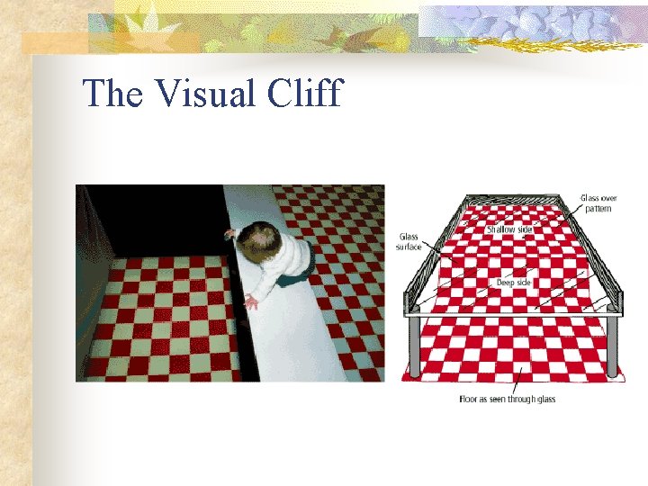 The Visual Cliff 