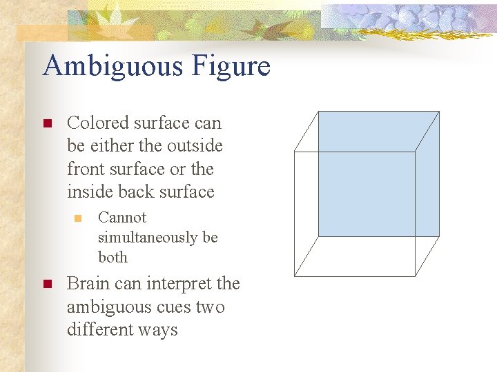 Ambiguous Figure n Colored surface can be either the outside front surface or the
