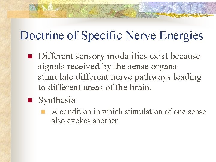Doctrine of Specific Nerve Energies n n Different sensory modalities exist because signals received