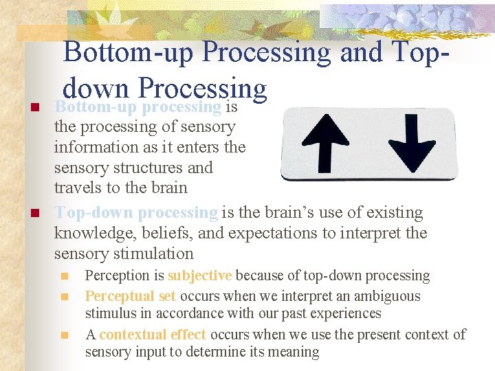 n n Bottom-up Processing and Topdown Processing Bottom-up processing is the processing of sensory