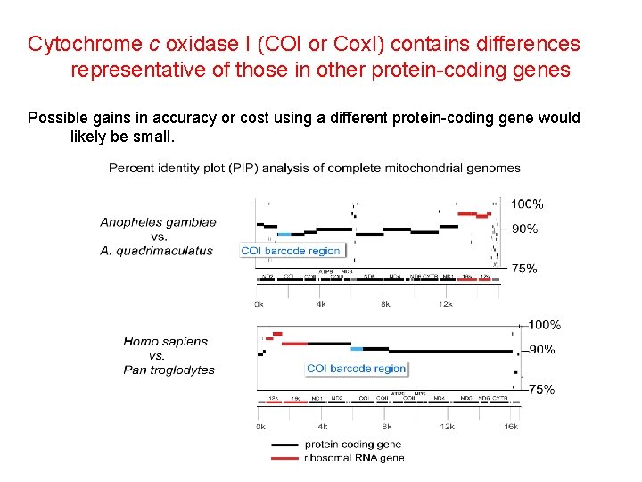 Cytochrome c oxidase I (COI or Cox. I) contains differences representative of those in