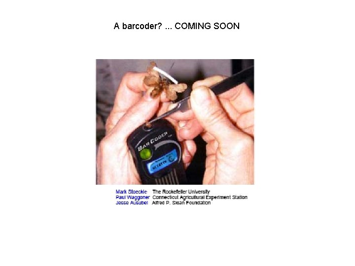 A barcoder? . . . COMING SOON 