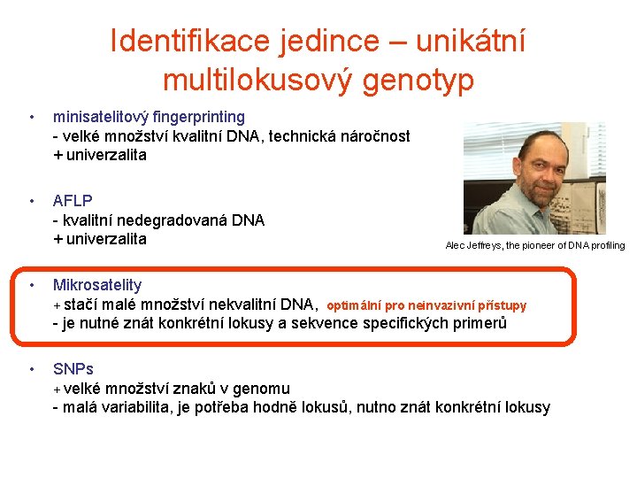 Identifikace jedince – unikátní multilokusový genotyp • minisatelitový fingerprinting - velké množství kvalitní DNA,