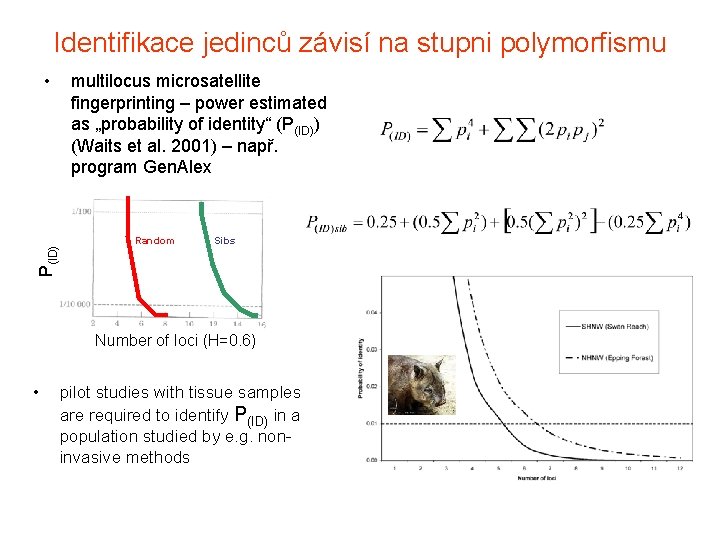 Identifikace jedinců závisí na stupni polymorfismu P(ID) • multilocus microsatellite fingerprinting – power estimated