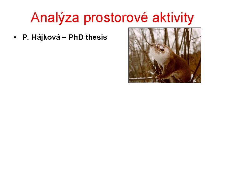 Analýza prostorové aktivity • P. Hájková – Ph. D thesis 