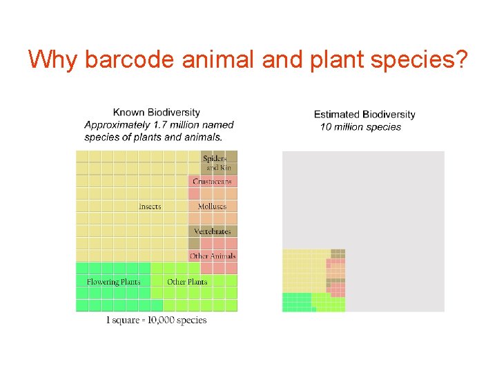 Why barcode animal and plant species? 