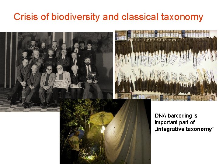 Crisis of biodiversity and classical taxonomy DNA barcoding is important part of „integrative taxonomy“