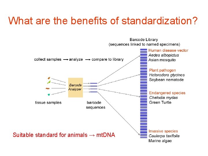 What are the benefits of standardization? Suitable standard for animals → mt. DNA 