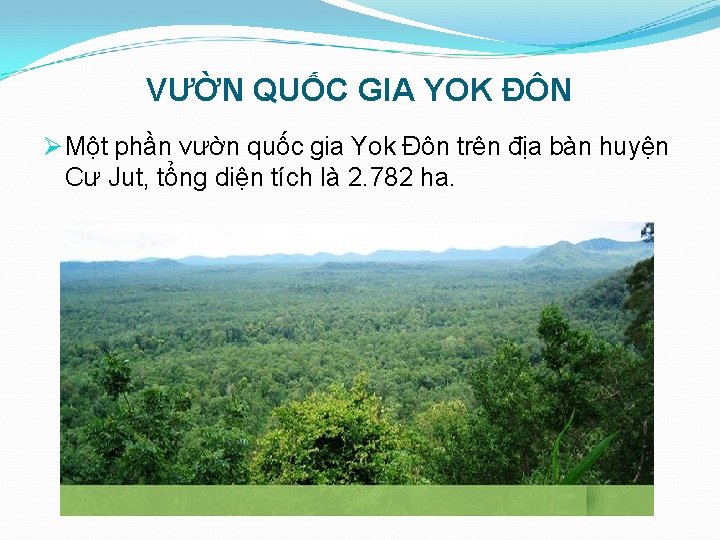 VƯỜN QUỐC GIA YOK ĐÔN Ø Một phần vườn quốc gia Yok Đôn trên