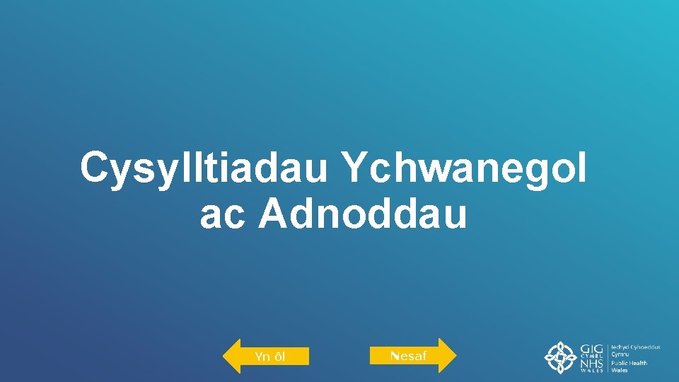 Cysylltiadau Ychwanegol ac Adnoddau Yn ôl Nesaf 