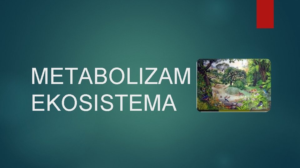 METABOLIZAM EKOSISTEMA 