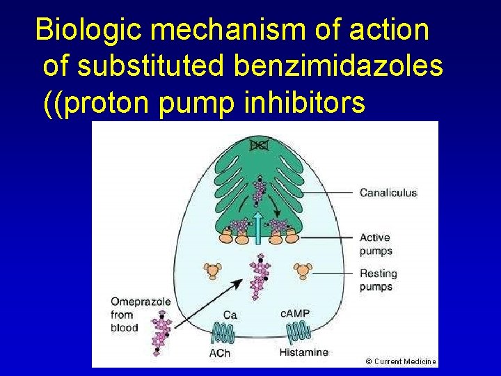 Biologic mechanism of action of substituted benzimidazoles ((proton pump inhibitors 