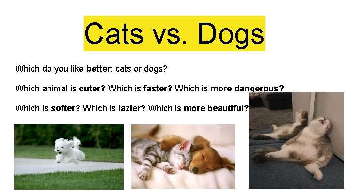 Cats vs. Dogs Which do you like better: cats or dogs? Which animal is