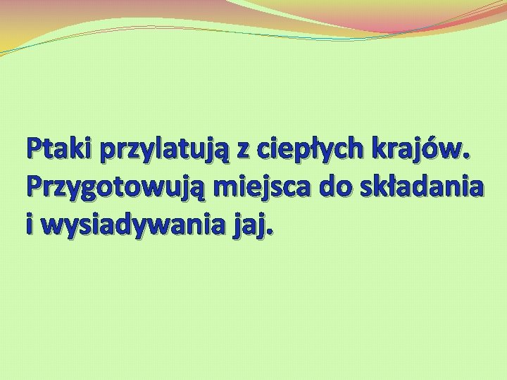 Ptaki przylatują z ciepłych krajów. Przygotowują miejsca do składania i wysiadywania jaj. 