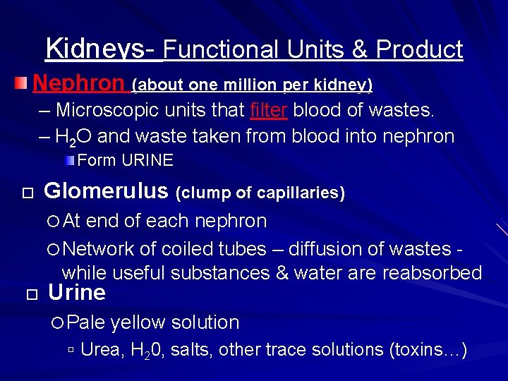 Kidneys- Functional Units & Product Nephron (about one million per kidney) – Microscopic units