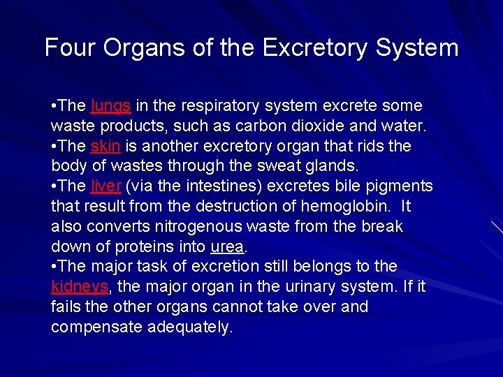 Four Organs of the Excretory System • The lungs in the respiratory system excrete