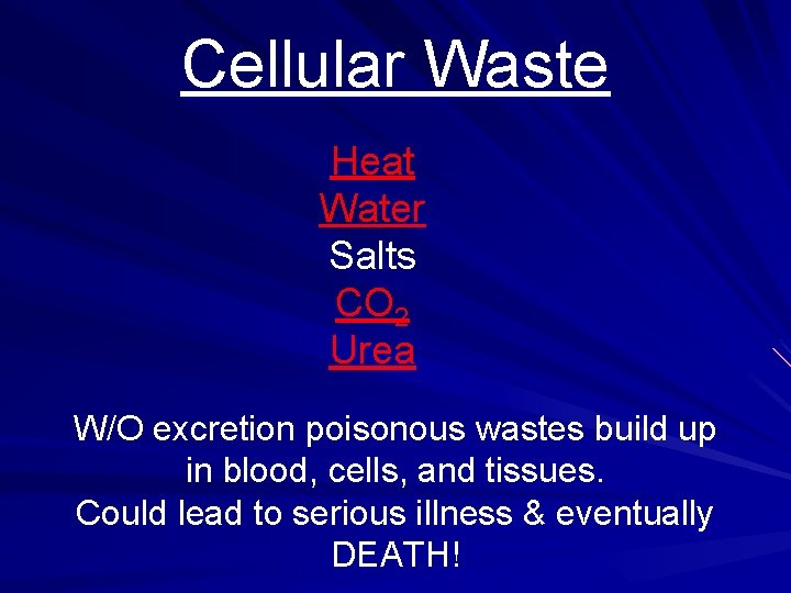 Cellular Waste Heat Water Salts CO 2 Urea W/O excretion poisonous wastes build up