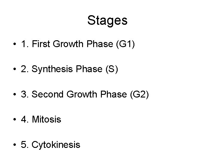 Stages • 1. First Growth Phase (G 1) • 2. Synthesis Phase (S) •