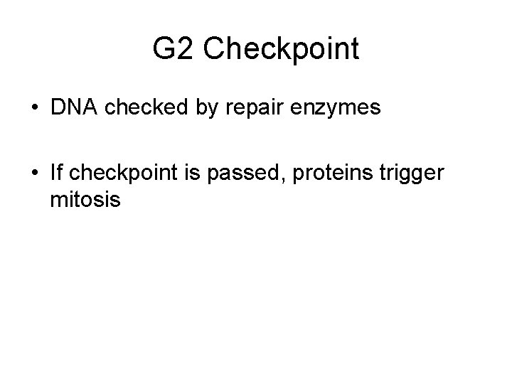 G 2 Checkpoint • DNA checked by repair enzymes • If checkpoint is passed,