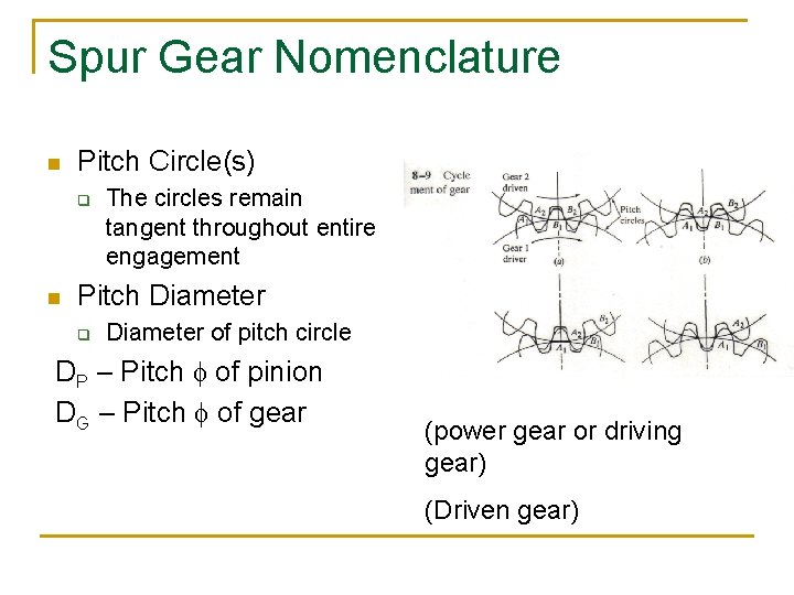 Spur Gear Nomenclature n Pitch Circle(s) q n The circles remain tangent throughout entire