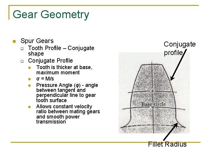 Gear Geometry n Spur Gears q q Tooth Profile – Conjugate shape Conjugate Profile