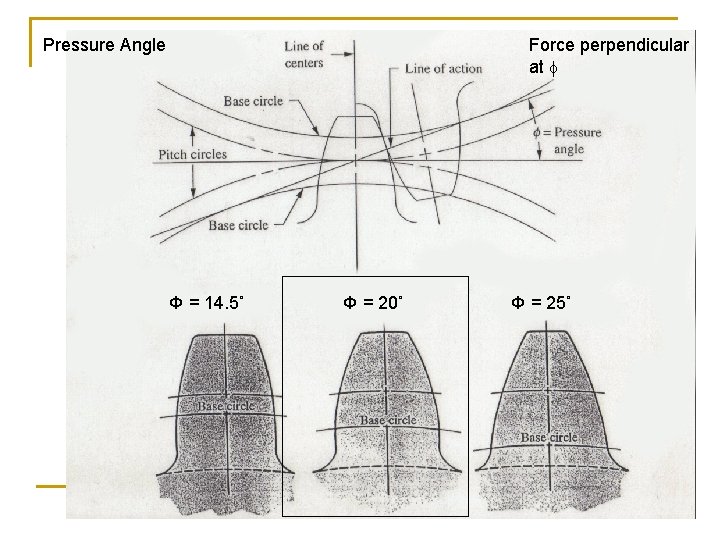 Pressure Angle Force perpendicular at f Φ = 14. 5˚ Φ = 20˚ Φ