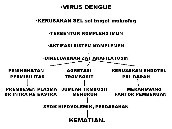  • VIRUS DENGUE • KERUSAKAN SEL sel target makrofag • TERBENTUK KOMPLEKS IMUN