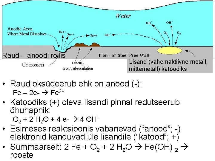 Raud – anoodi rollis Lisand (vähemaktiivne metall, mittemetall) katoodiks • Raud oksüdeerub ehk on