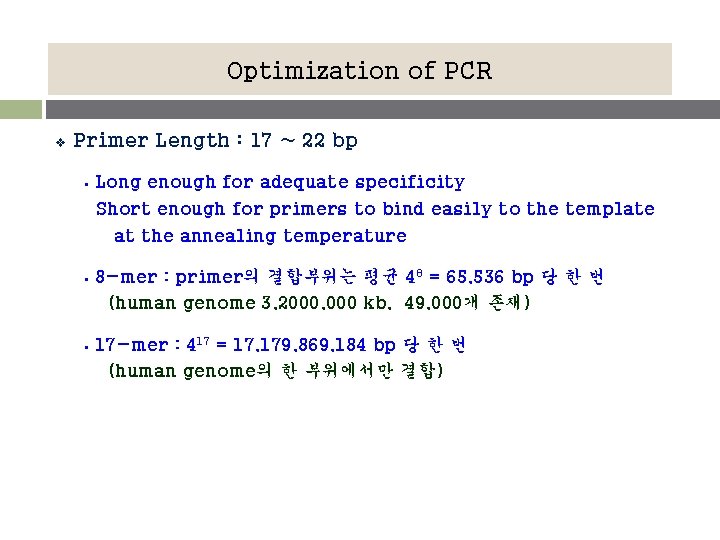 Optimization of PCR v Primer Length : 17 ~ 22 bp § Long enough