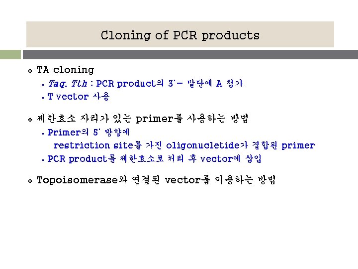 Cloning of PCR products v TA cloning § Taq, Tth : PCR product의 3’-