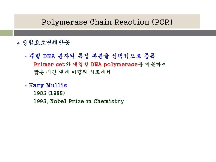 Polymerase Chain Reaction (PCR) v 중합효소연쇄반응 § 주형 DNA 분자의 특정 부분을 선택적으로 증폭