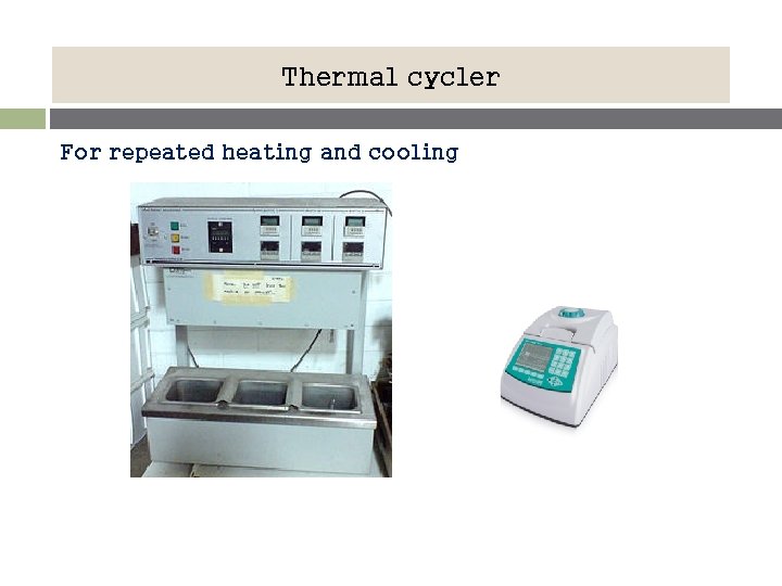 Thermal cycler For repeated heating and cooling 