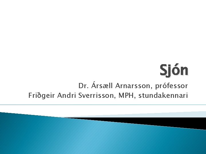 Sjón Dr. Ársæll Arnarsson, prófessor Friðgeir Andri Sverrisson, MPH, stundakennari 