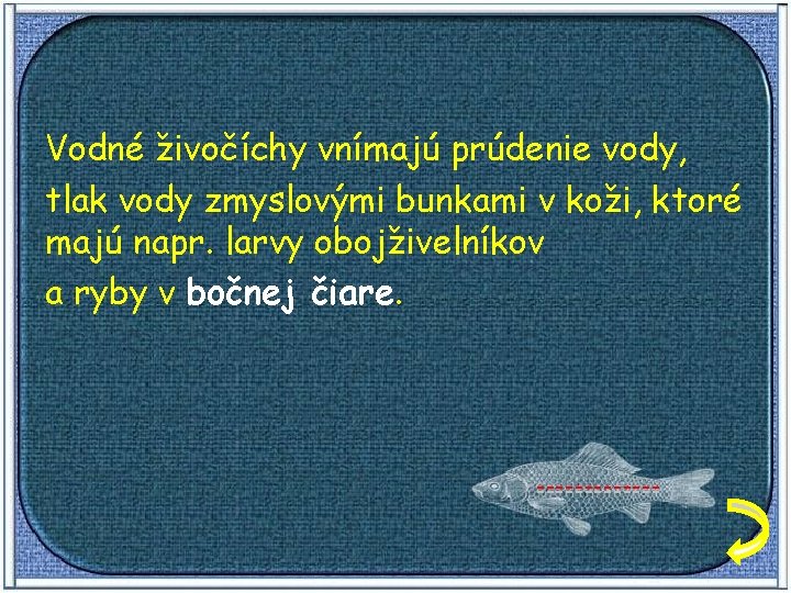 Vodné živočíchy vnímajú prúdenie vody, tlak vody zmyslovými bunkami v koži, ktoré majú napr.