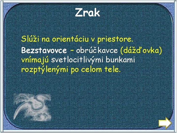 Zrak Slúži na orientáciu v priestore. Bezstavovce – obrúčkavce (dážďovka) vnímajú svetlocitlivými bunkami rozptýlenými