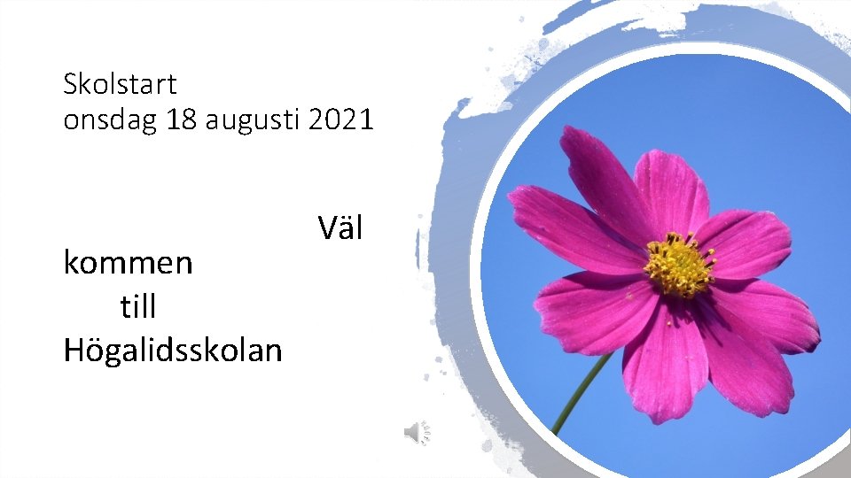 Skolstart onsdag 18 augusti 2021 kommen till Högalidsskolan Väl 