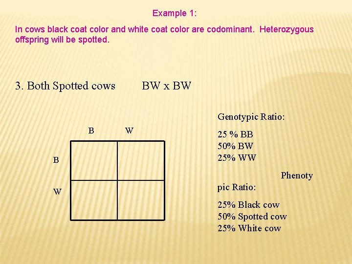 Example 1: In cows black coat color and white coat color are codominant. Heterozygous