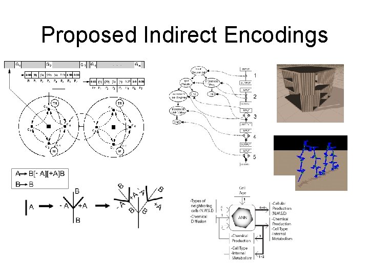 Proposed Indirect Encodings 