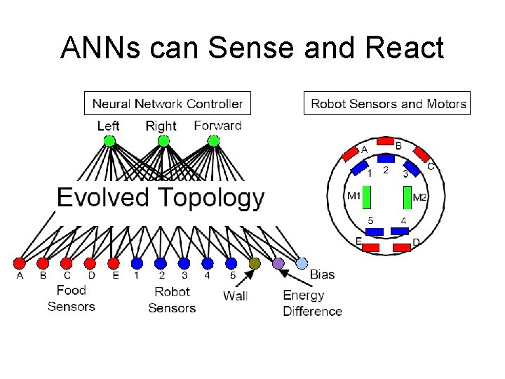 ANNs can Sense and React 